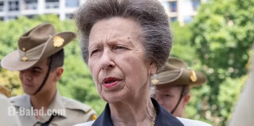 Princess Anne Skips Remembrance Sunday; Opts for Alternative Tribute