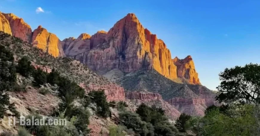 Explore the Stunning Landscapes of Zion National Park Through Photowalks