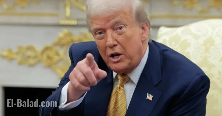 Experts Analyze Trump’s $2,000 Tariff-Funded Dividend Proposal