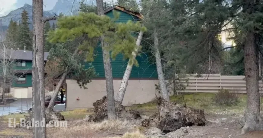 Environment Canada Alerts: Southern Alberta to Face 115 km/h Wind Gusts