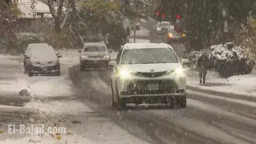 Toronto Police Urge Caution on Slippery Roads Amid Slushy Conditions