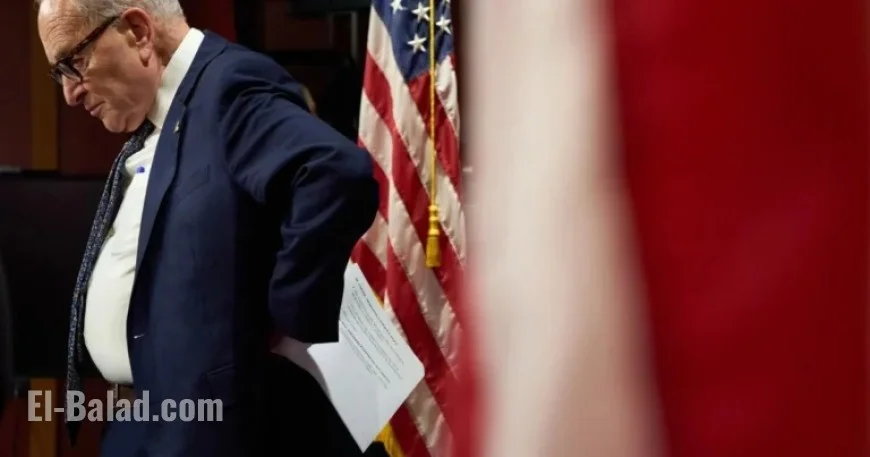 Pressure Mounts on Schumer to Step Down as Senate Democratic Leader