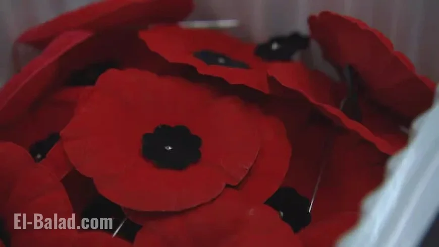 Top Locations for Manitobans to Commemorate Remembrance Day