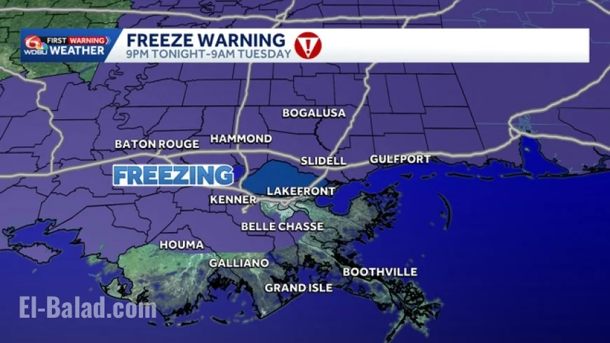 Freeze Warning tonight across Charlotte and Raleigh: how cold it gets, timing, and what to do before bedtime