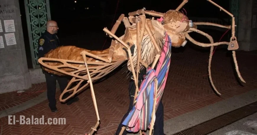 UC Berkeley Students Charged with Vandalism Over Anti-TPUSA Art Display