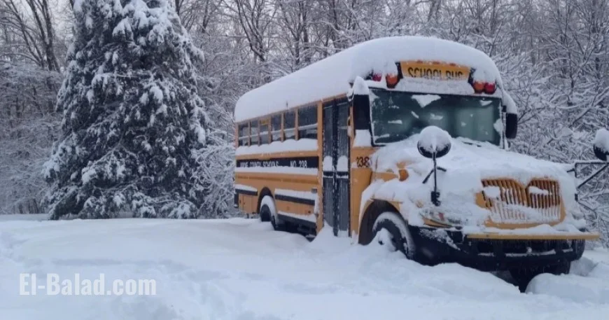 Southern Ontario: School Bus Cancellations and Closures for November 11, 2025
