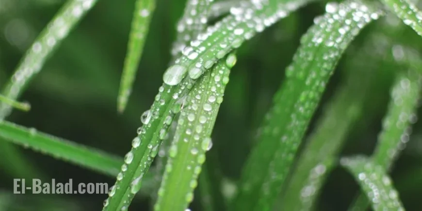 Wet, Windy Week Precedes Colder Weather Shift