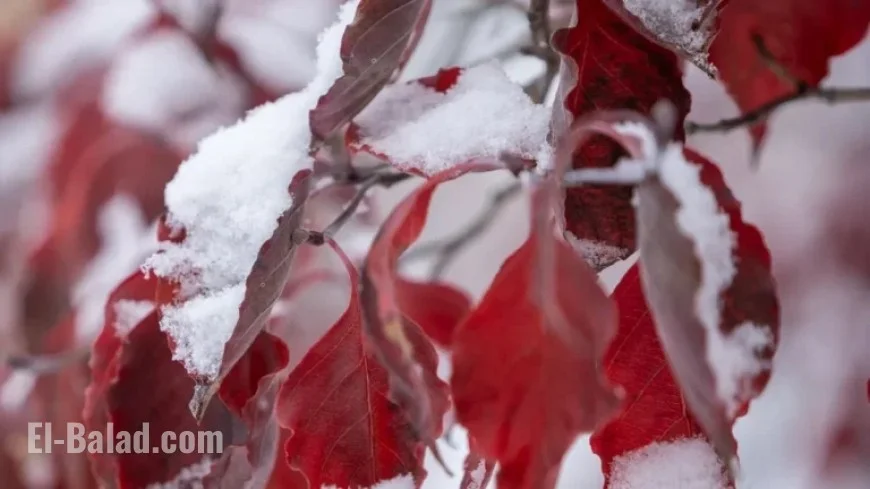 Central Indiana Sees Significant Snowfall in First Winter Storm