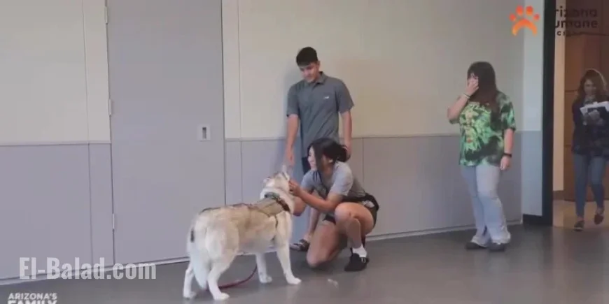 Arizona Soldier Reunites with Dog After Deployment