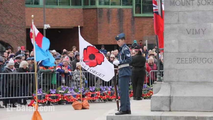 How Waterloo Region Honors Remembrance Day: Key Ways to Participate