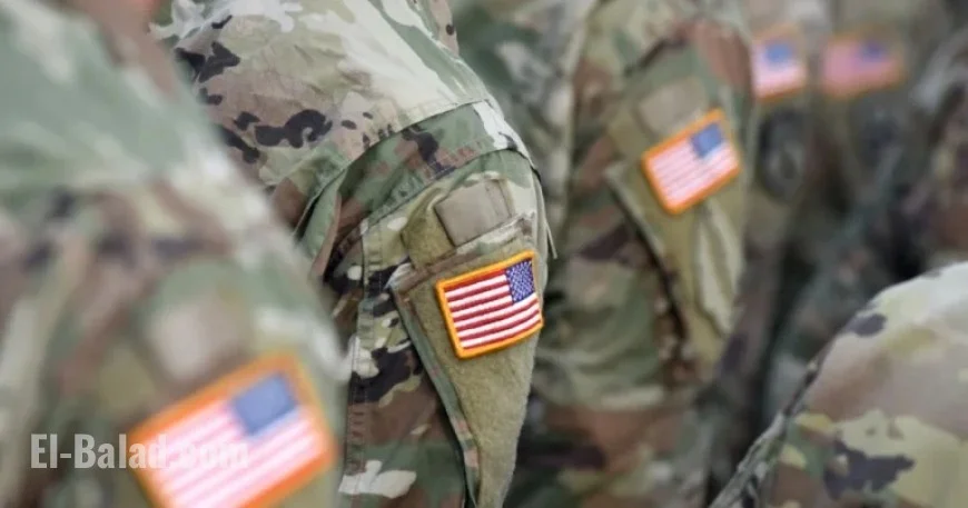 Veterans Day: Free Meals, Open and Closed Locations Guide