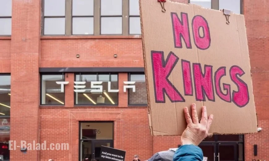 Anti-Elon Musk Group Plans Major Tesla Campaign for Nov 15