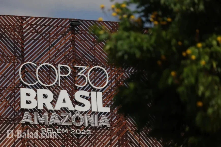 Newsom Positions California as Key Ally at U.N. Climate Talks