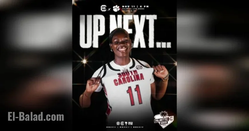 Gamecocks Welcome Tigers in Tuesday Showdown