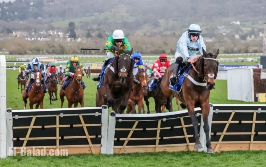 Cheltenham Festival 2026: Pertemps Final Qualification Races and Eligible Horses