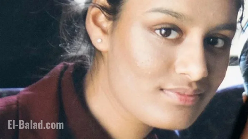 Repatriate Shamima Begum and Other Britons in Syria, Urges Review