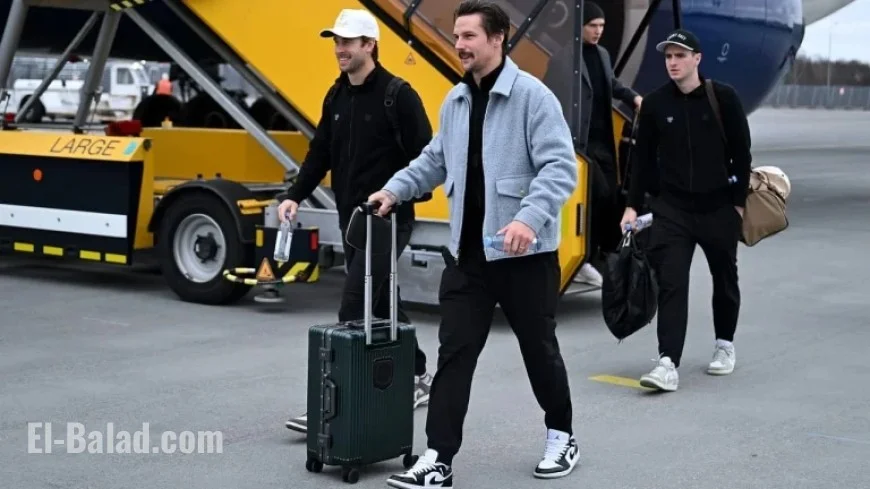 Exclusive Insight: Penguins Thrive in Sweden