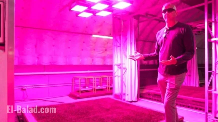 Discover University of Tennessee’s Groundbreaking FIFA World Cup Turf Research