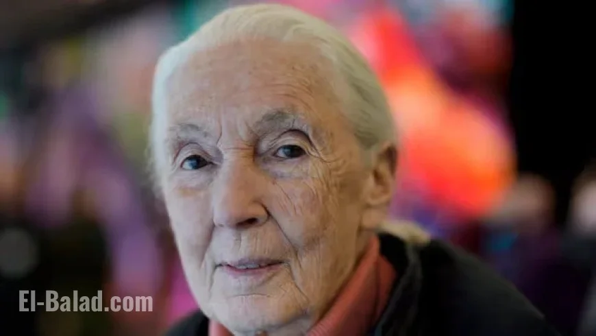 Honoring Conservationist Jane Goodall at Washington Funeral