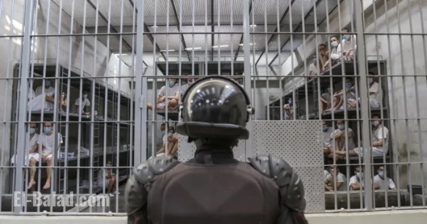 Report Claims Venezuelan Migrants in Salvadoran Prison Faced Torture, Arbitrary Detention