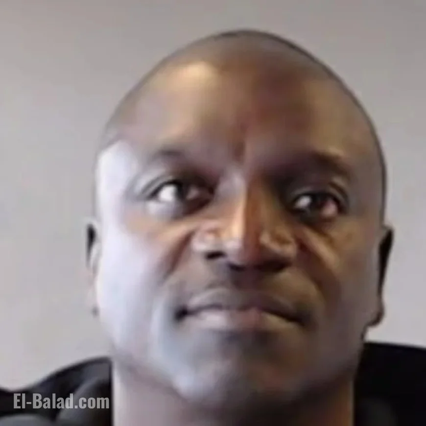 Akon Arrested in Georgia, Released After Out-of-County Warrant Issue