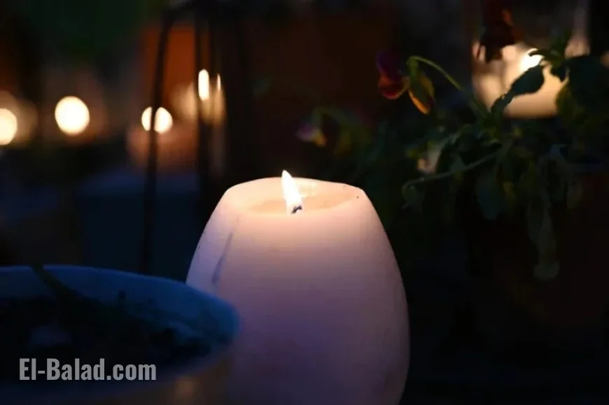 BBQ Influencer: Key Facts You Need to Know