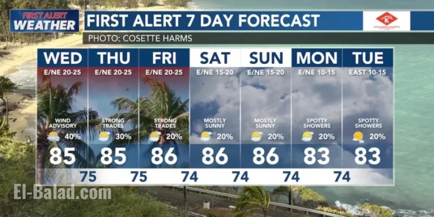 Wind Advisory Issued: Prepare for Strong Trade Winds