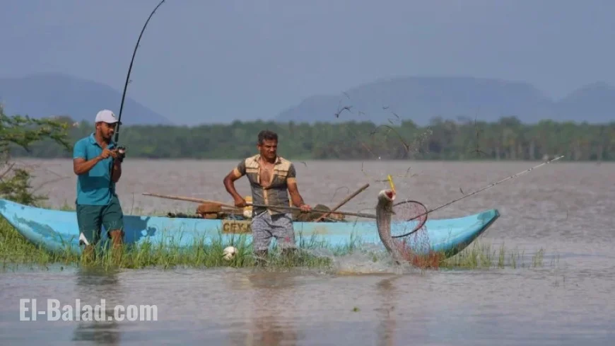 Sri Lankan Fishers Transform Invasive Species Threat into Opportunity