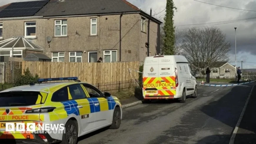 Blackwood Murder Probe Initiated Following Double Assault