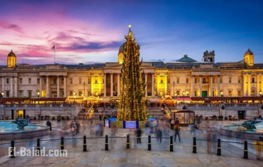 Trafalgar Square Christmas Tree Arrives for 2025 Festive Season