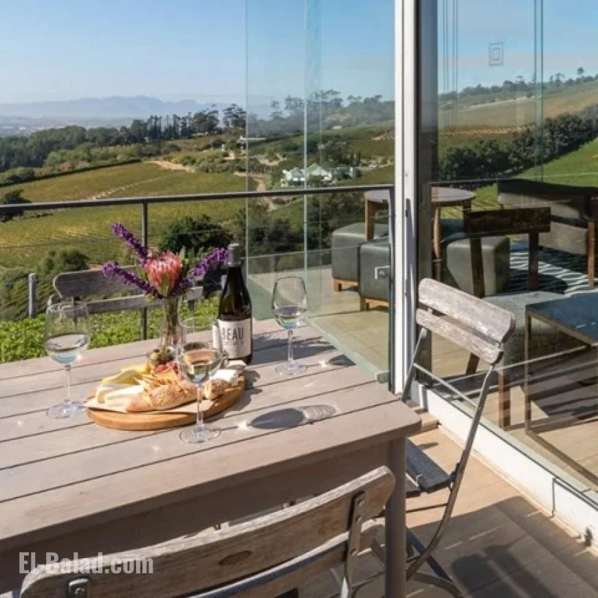 Top Wine Tasting Experiences to Discover in Cape Town