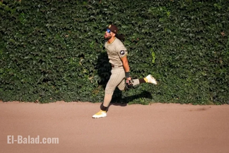 Padres Confirm Fernando Tatis Jr. Stays Amid Offseason Trade Rumors