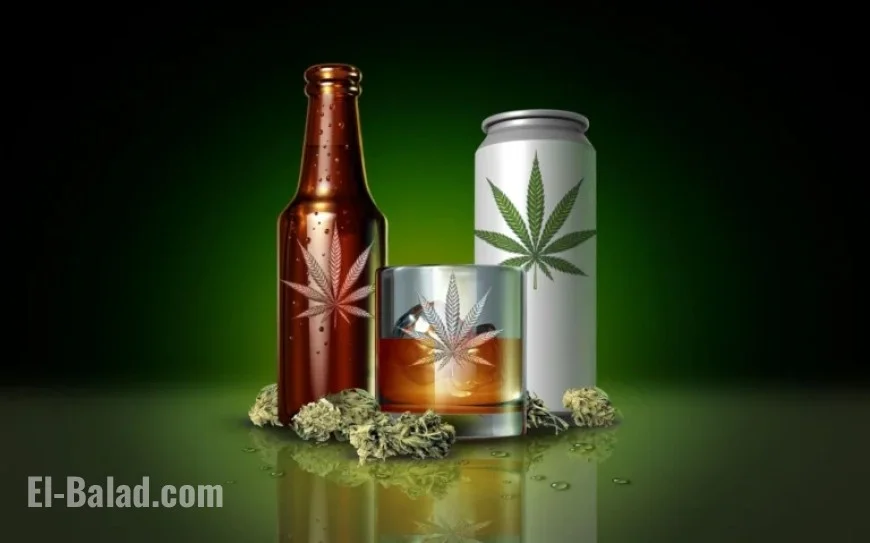 Hemp Industry’s $28 Billion Future Threatened by Government Reopening