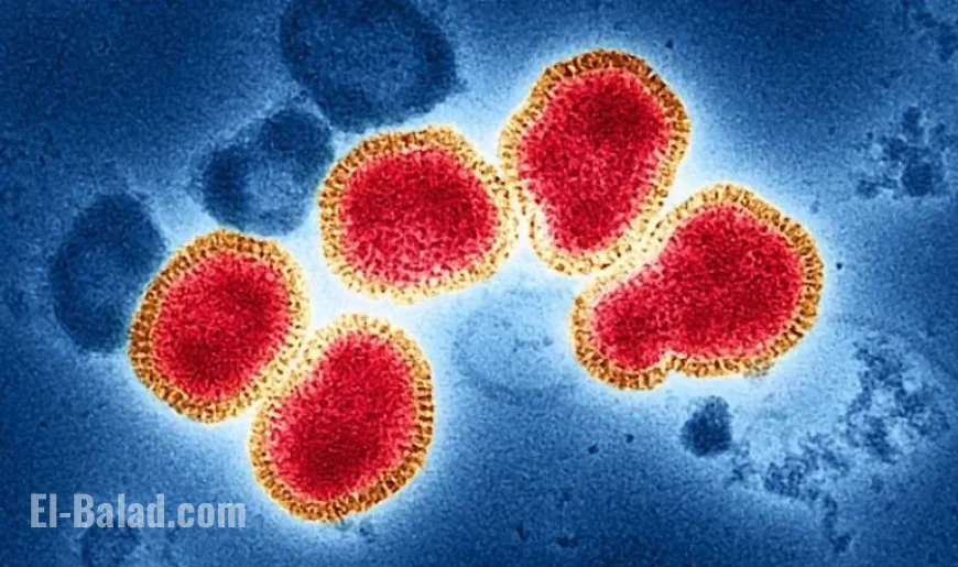 Experts Brace for Uncertain Flu Season with Mismatched Strain and Absent CDC