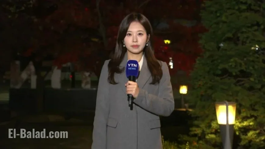 Dense Fog in Inland Areas: Clear and Chilly Late Autumn Weather