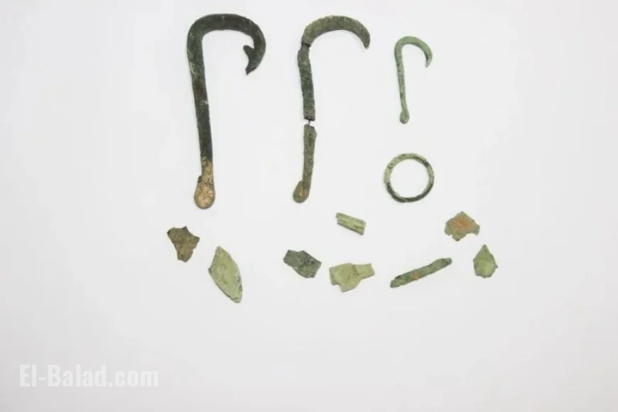 Oman Marks International Day Against Cultural Property Trafficking