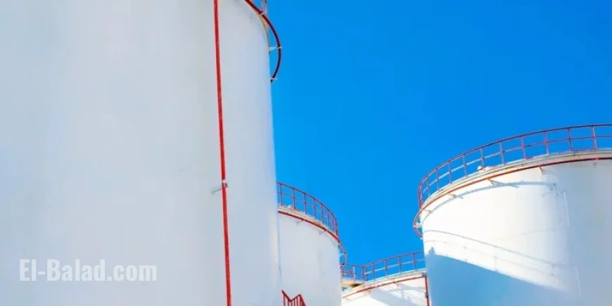 November 2025 Oil Market Analysis Released