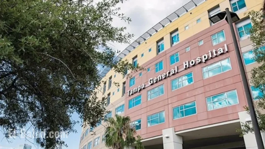 Tampa Bay Hospital Safety Ratings Released: Is Your Facility Secure?
