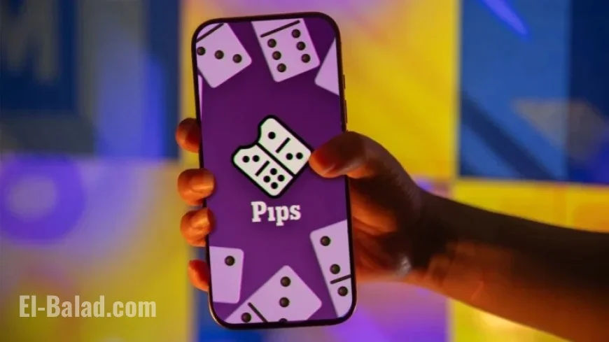 NYT Pips Solutions and Hints for November 14, 2025