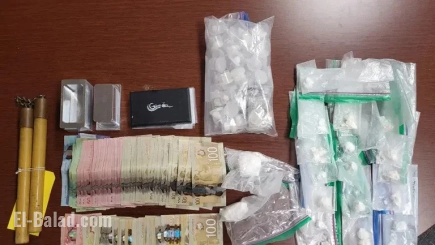 Authorities Seize Cocaine, Ecstasy, and Valuables Worth Thousands in Picton Bust