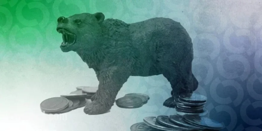 Bitcoin Falls Below $95K: Is the Crypto Market in Bear Territory?