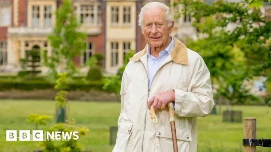 King Charles Celebrates 77th Birthday with New Photo Release