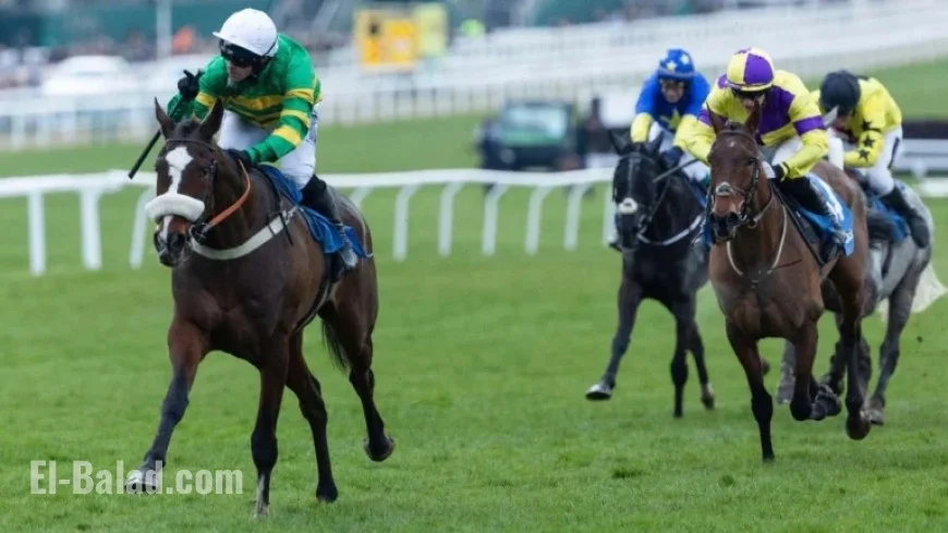 Paddy Power Gold Cup: Expert Timeform Ratings and Final Verdict