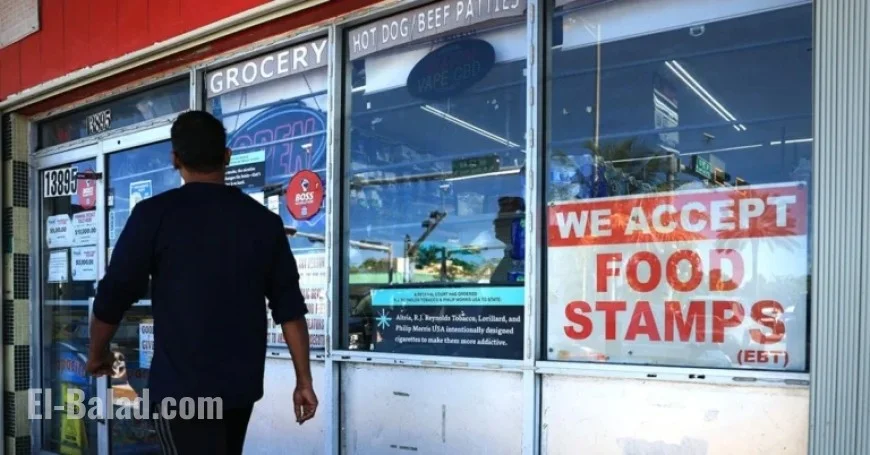 U.S. Food Stamp Data Reveals Key Insights