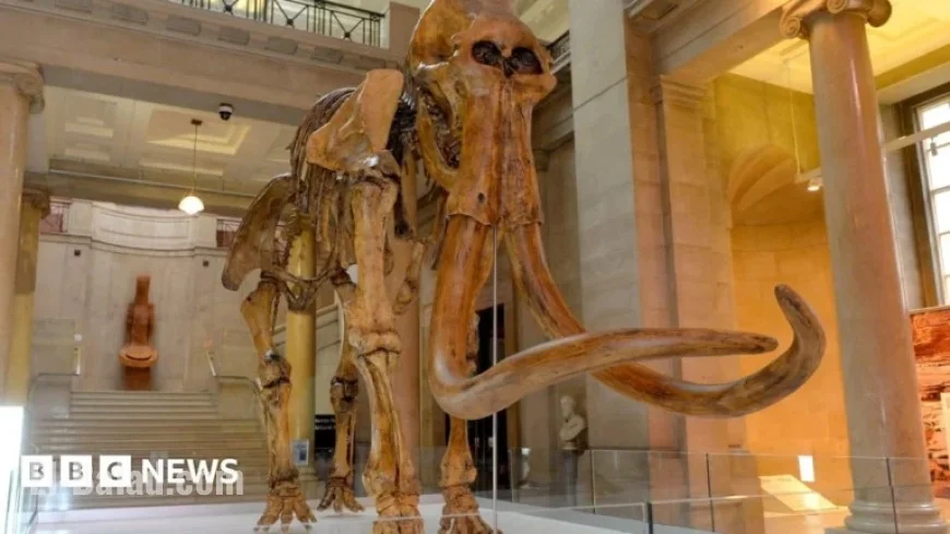 Sir Tom Jones Honored with Museum Mammoth Named After Him