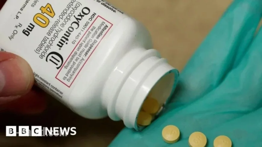 Bankruptcy Judge Approves $7.4 Billion Purdue Pharma Settlement