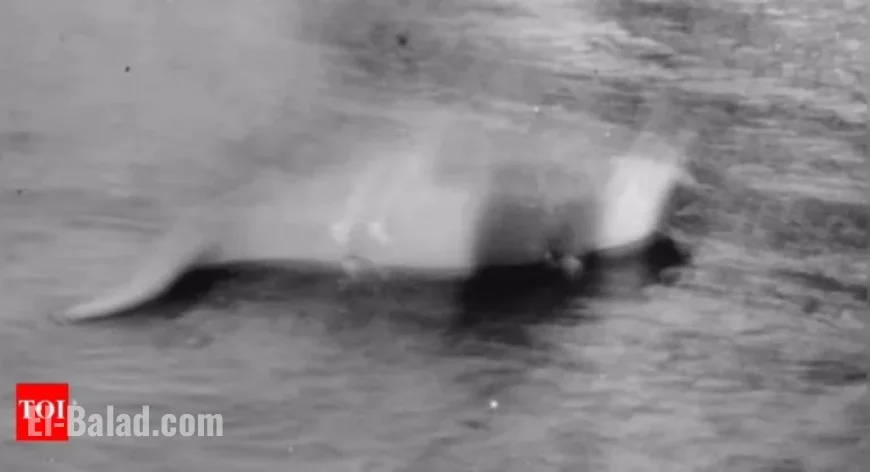 Loch Ness Monster Day: Celebrating 90 Years Since First Legendary Photo