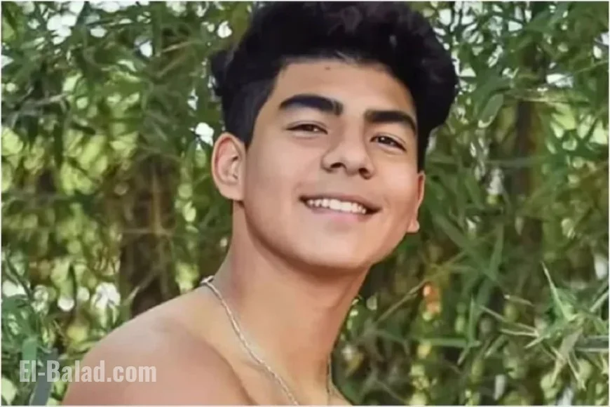 Revealing Insights from ’50 Seconds’: The Fernando Báez Sosa Case