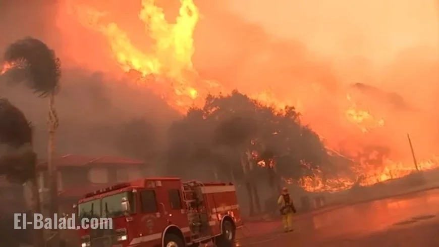 Los Angeles County Investigates State Farm After Eaton, Palisades Fires
