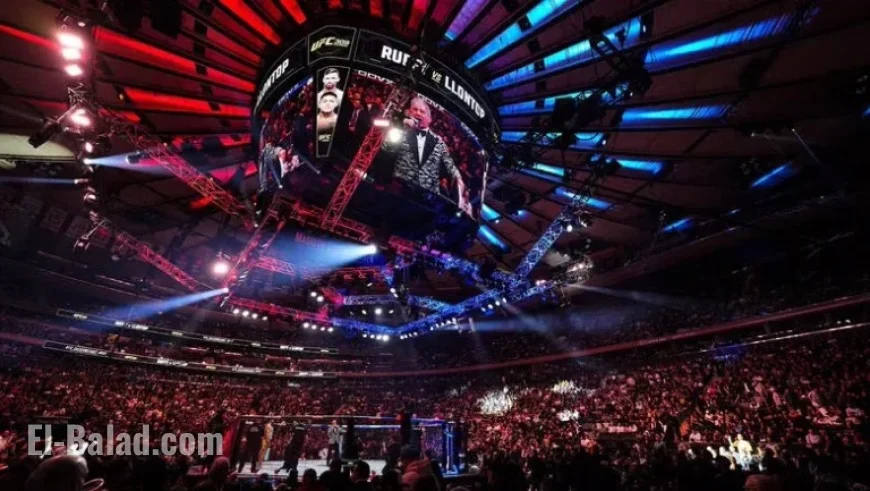 VeChain UFC 322 Update: Della Maddalena Faces Makhachev